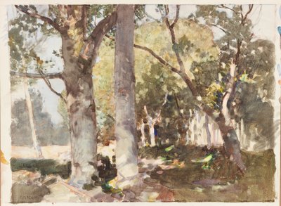 Un raggio di luce da Harry Watson